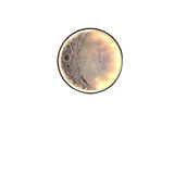 Elif Modern Moon Shape LED IP65 Waterproof Outdoor Light