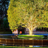 Projecteur extérieur pour arbre