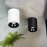 Plafonniers ronds en torchis