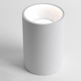 Plafonniers ronds en torchis