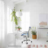 Suspension Nitro Bubble