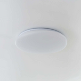 Flush Mount Ceiling Light
