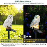 Solar Owl Lamp (2-Pack)