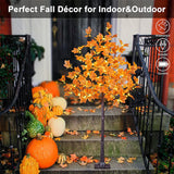 Érable illuminé par LED