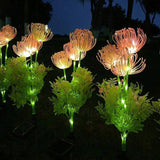 Fanciful Fairy Flowers