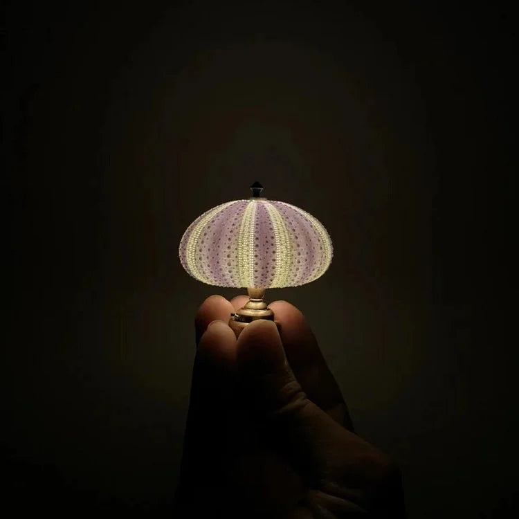 DIY Sea Urchin Night Light