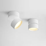 Favilla Surface Ceiling Lamp