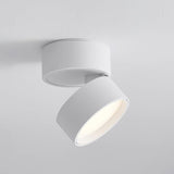 Favilla Surface Ceiling Lamp