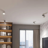 Favilla Surface Ceiling Lamp