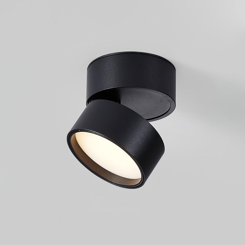 Favilla Surface Ceiling Lamp