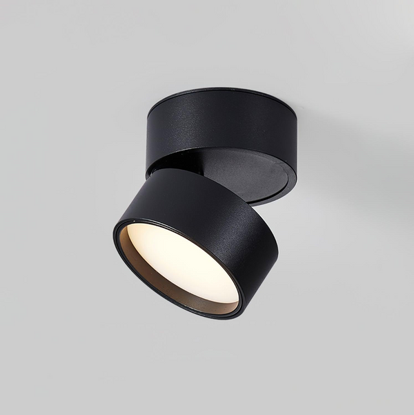 Savvina Surface Ceiling Light