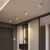 Favilla Surface Ceiling Lamp