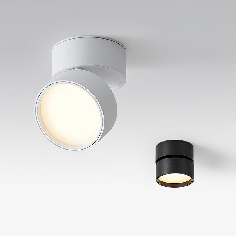 Favilla Surface Ceiling Lamp