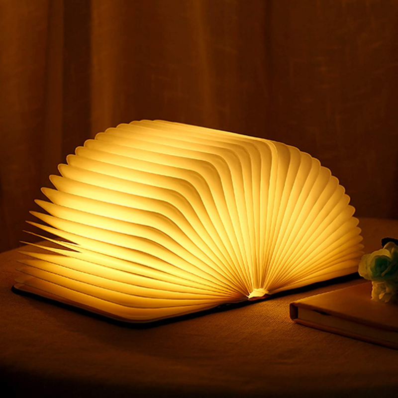 Enchanted Book Lamp