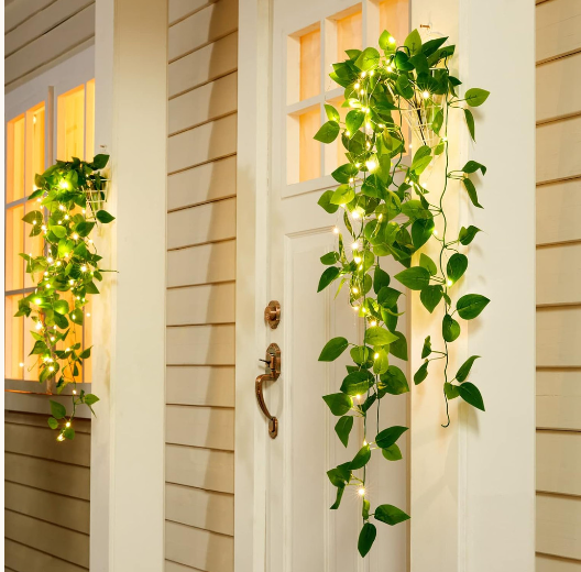 Illuminated Ivy Vine