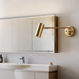 Swing Arm Wall Lamp