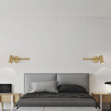 Swing Arm Wall Lamp